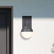 Pineview 1 Light 14 inch Iron Ore Outdoor Wall Sconce
